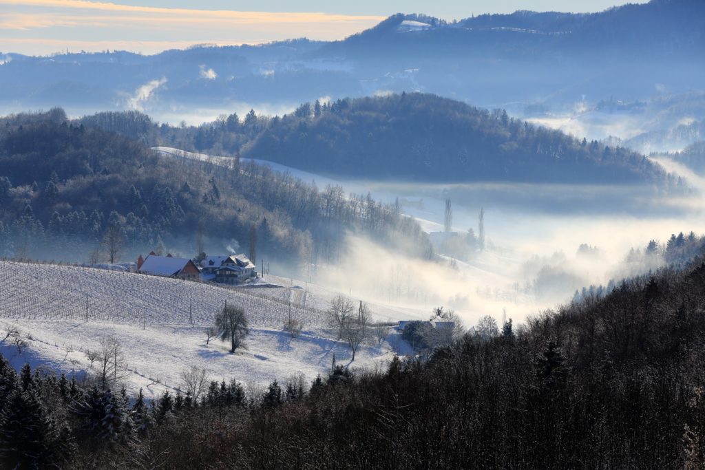 Weinberge im Winter – Winterlandschaft in den Südsteirischen Weinbergen