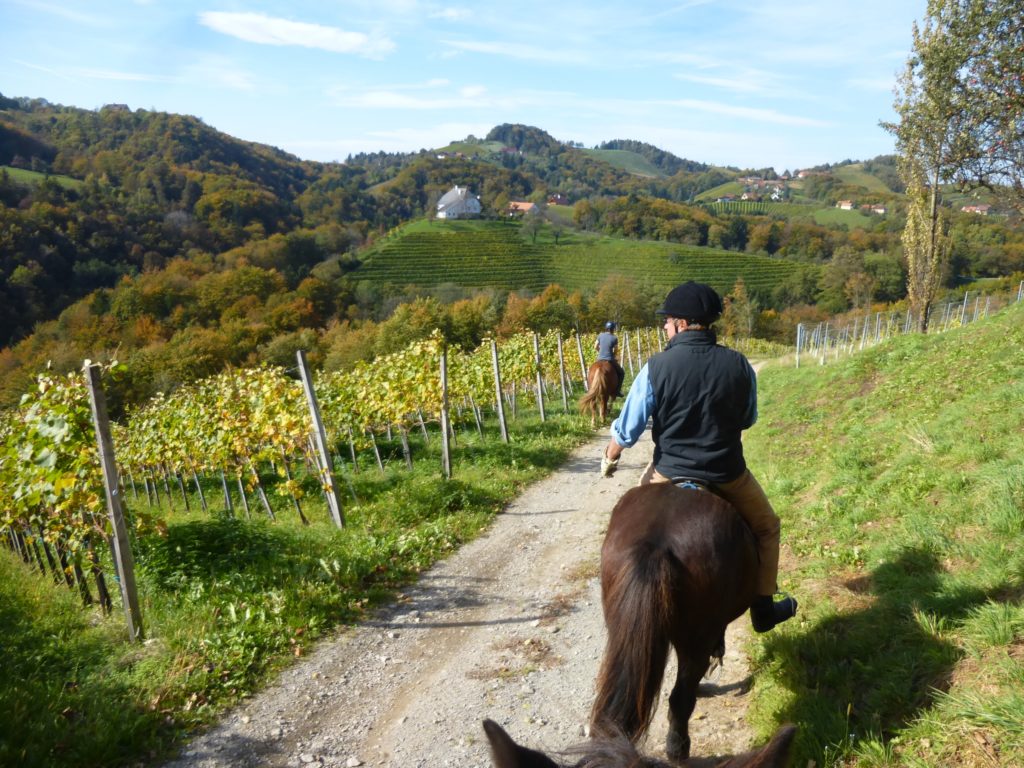 Reiten in Kitzeck