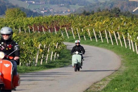Vespa Rundfahrt Südsteiermark - Weinberge