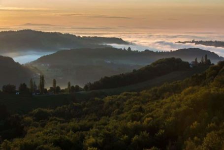 Südsteiermark im Nebel