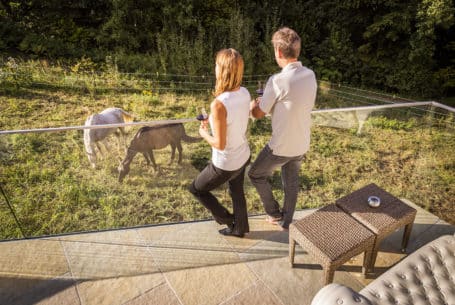 Urlaub mit dem eigenen Pferd in der Südsteiermark