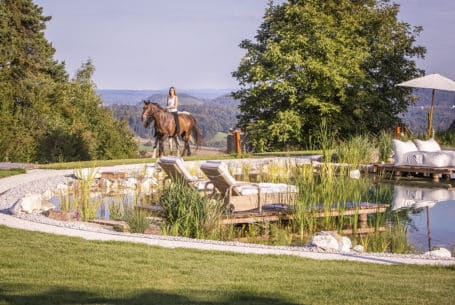 Urlaub mit dem eigenen Pferd in der Südsteiermark