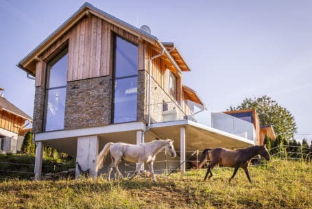 Chalet Goldfuchs - Urlaub mit eigenem Pferd