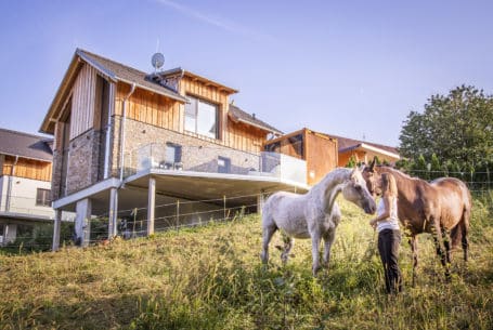 Urlaub mit dem eigenen Pferd in der Südsteiermark