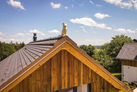 Chalet Steppenfuchs - Fuchs am Dach