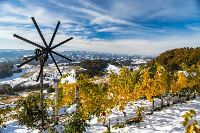 Südsteiermark – Weinberge im Winter