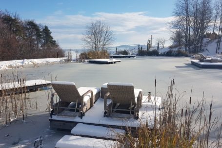 Naturschwimmteich - Winterimpressionen
