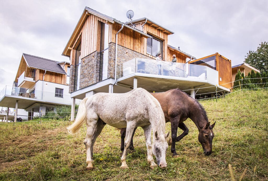 Urlaub mit eigenem Pferd, Steiermark