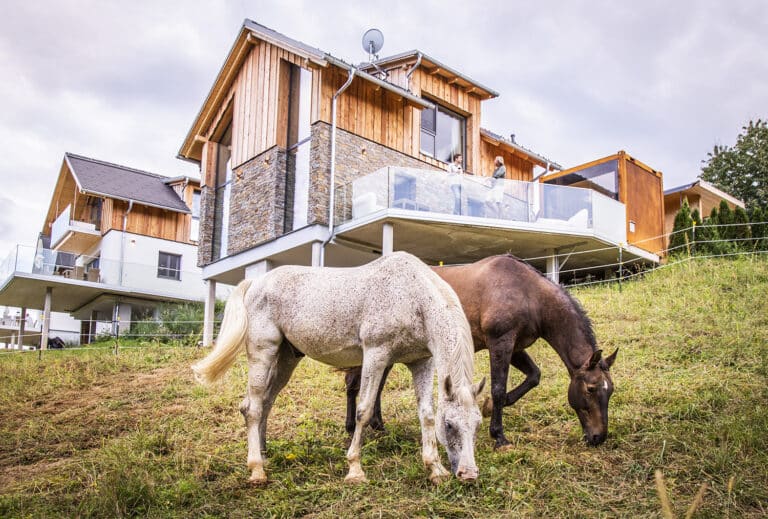 Urlaub mit eigenem Pferd, Steiermark