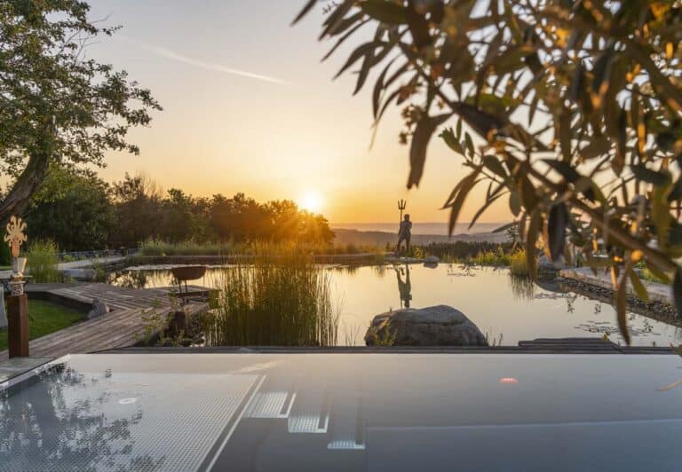 Infinity Pool und Naturschwimmteich