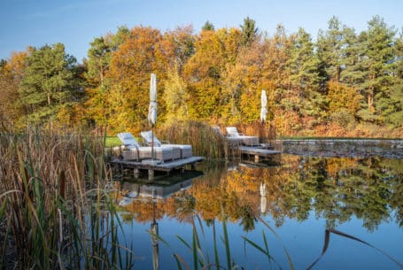 Naturschwimmteich Golden Hill im Herbst