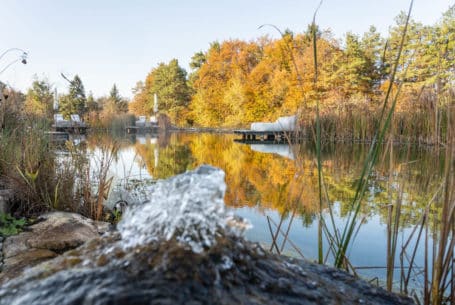 Golden Hill - Naturschwimmteich - Herbst